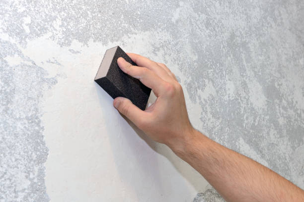 Best Post-Construction Mold Inspection  in Grand Junction, CO