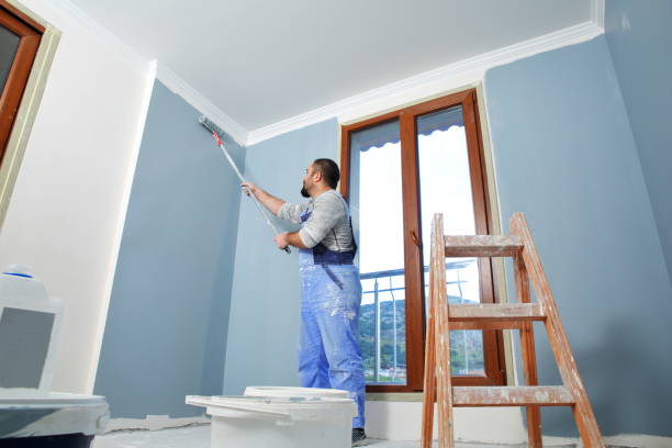  Grand Junction, CO Mold Removal Pros