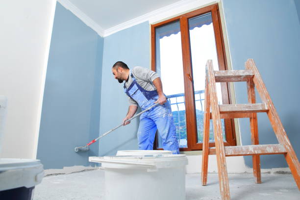 Best Mold Odor Removal Services  in Grand Junction, CO