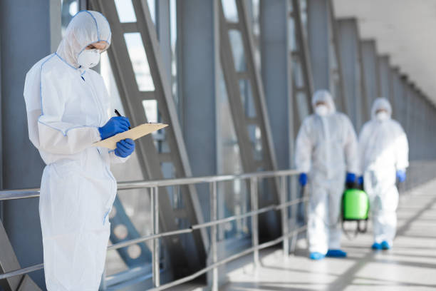Grand Junction, CO Mold Removal Company