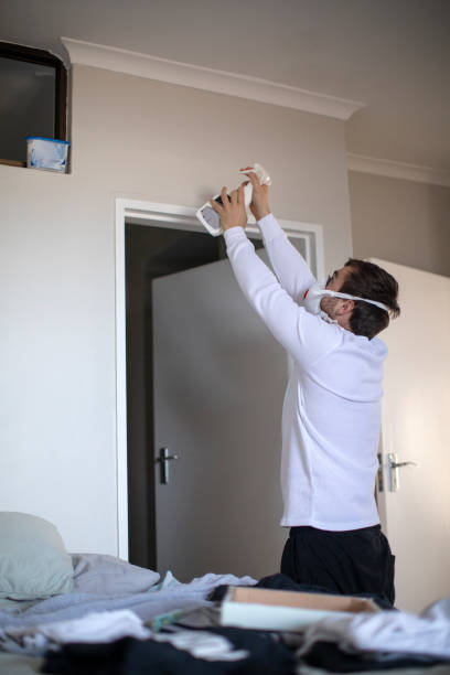 Best Asbestos and Lead Testing During Mold Inspection  in Grand Junction, CO
