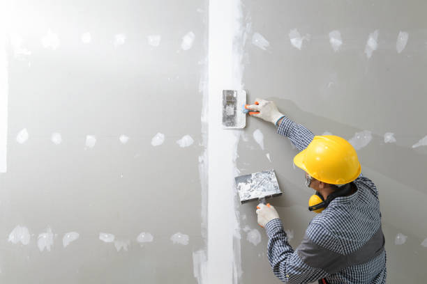 Best Emergency Mold Remediation  in Grand Junction, CO