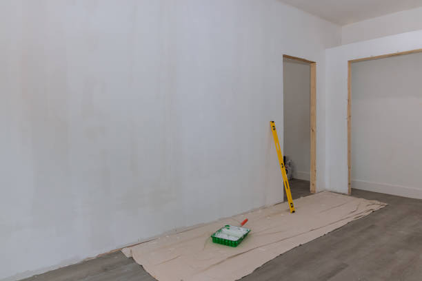 Best Industrial Mold Remediation  in Grand Junction, CO