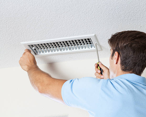 Best Environmental Consulting for Mold Prevention  in Grand Junction, CO