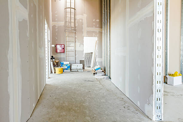Best Air Quality Testing for Mold Spores  in Grand Junction, CO